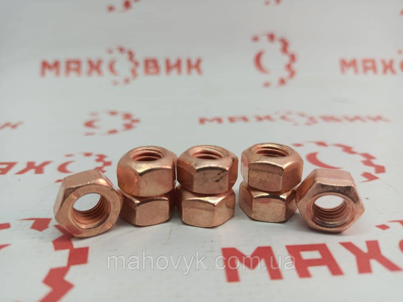 Гайка випукного колектора 01181684