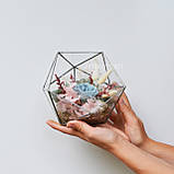 Флораріум з мохом, довговічними рослинами і трояндою «Blue rose», фото 2