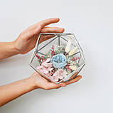 Флораріум з мохом, довговічними рослинами і трояндою «Blue rose», фото 4