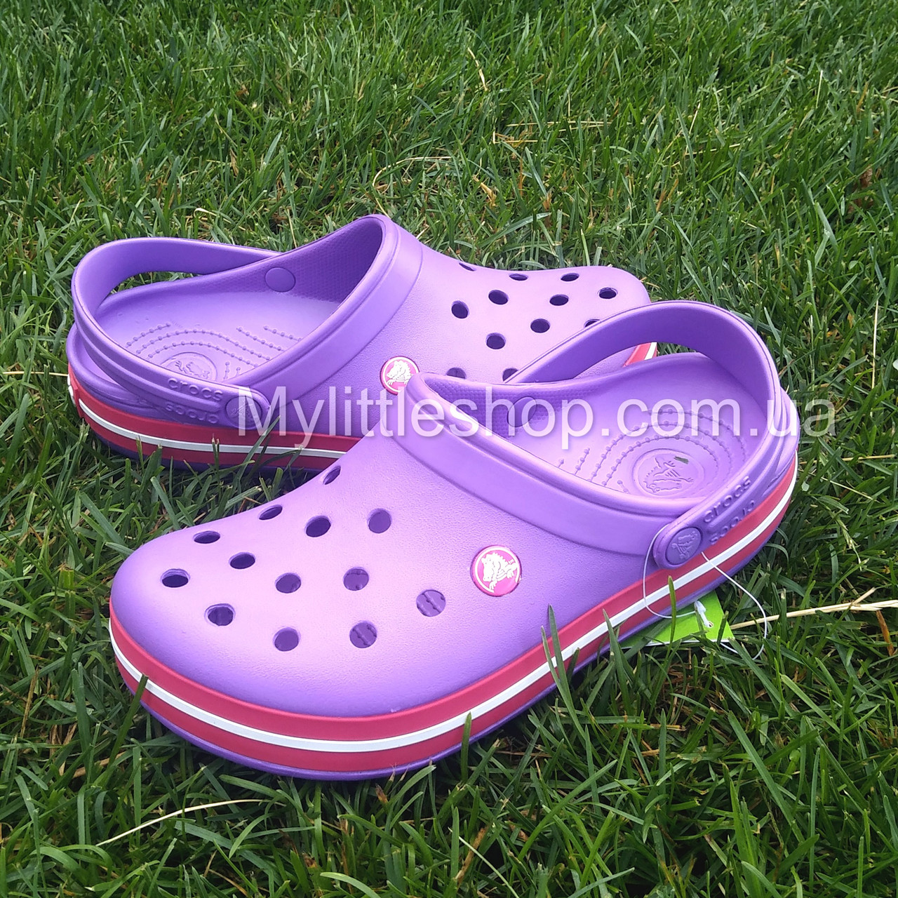Сабо Crocs Crocband Clog 43 р 27.7-28.2 см, Фіолетові з червоним 11016-M10/W12 Purple/Candy/Pink, фото 1