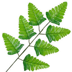 Лист штучного папороті зелений 40см(20 шт. в уп)