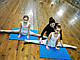 Дитячий одношаровий спортивний килимок "МАЛЮК МІНІ" для занять танцями,фітнесом, спортом.Розмір 1.10 м на 0.5м, фото 4