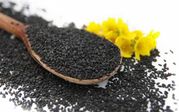 Кунжут чорний насіння, насіння чорного кунжуту, 25 кг - TR, фото 3