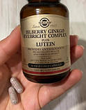 Вітаміни для очей Solgar Bilberry Ginkgo Eyebright Complex plus Lutein 60 капсул, фото 8