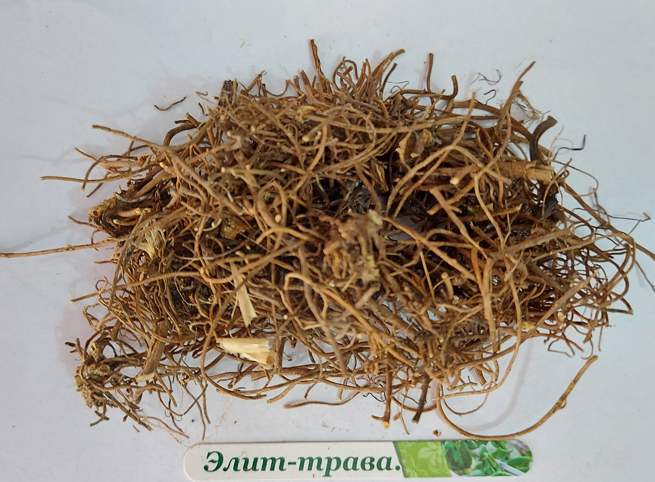 Сідач пурпурний корінь 100 грам, фото 1