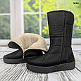Чобітки-дутики жіночі зимові на хутрі, середньої висоти Paolla, фото 5