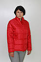 Куртка "Модельна утеплена" жіноча, тканина верху Ода, фото 2