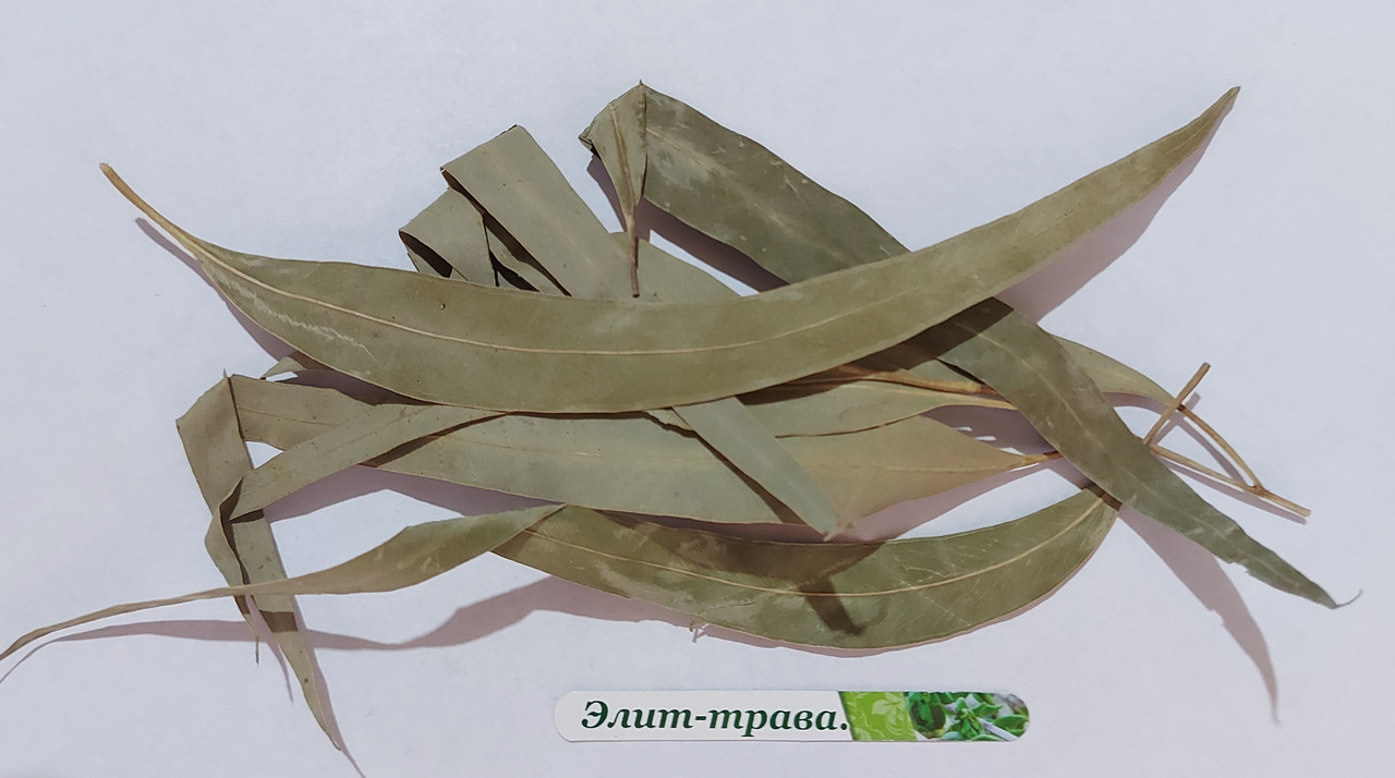 Листя евкаліпта 50 грам