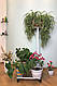 Підставка для квітів BeStand "ПІОН - 4" для великих рослин, висота 107 см, колір білий., фото 2