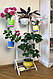 Підставка для квітів BeStand "МОЛЛІ 100" з рухомими кошиками, висота 122 см, колір білий., фото 3