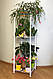 Підставка стелаж для квітів та розсади BeStand "КУБ 30 з рухомою полицею 40 х 40 см висота 120 см, колір білий, фото 3