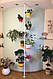 Підставка для квітів BeStand "ЛІАНА" розпорка підлога стеля, з рухомими кошикамии Ф 17 см, колір білий, фото 5