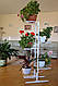Підставка для квітів BeStand "ГРАНД 140" для великих рослин, висота 140 см, колір білий., фото 3