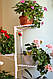 Підставка для квітів BeStand "ГРАНД 140" для великих рослин, висота 140 см, колір білий., фото 5
