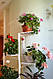 Підставка для квітів BeStand "ГРАНД 140" для великих рослин, висота 140 см, колір білий., фото 6