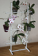 Підставка для квітів BeStand "КВІН 100 на 21 вазон" з трьома рухомими планками, висота 103 см, колір білий.