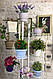 Підставка для квітів BeStand "ТРІО" з рухомими кошиками, висота 180 см, колір білий., фото 5