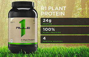 Plant Protein | 600 gram | Rule One (R1)