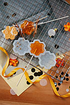 Силіконовий молд для льодяників "Соти"