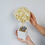 Дерево зі стабілізованою гортензією 30 cm, топіарій бежевий, фото 5