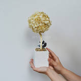 Дерево зі стабілізованою гортензією 30 cm, топіарій бежевий, фото 3