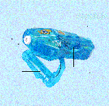 Дитячий генератор мильних бульбашок BUBBLE синій 02229, фото 4