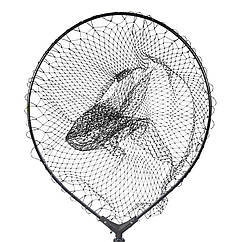 Голова підсаки Golden Catch 50 x 40