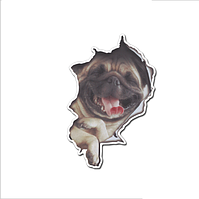 Наклейка на авто AIWA Пес 3d 02132