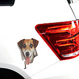 Наклейка на авто AIWA Пес 3d 02133, фото 3