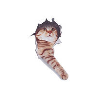 Наклейка на авто AIWA Кіт 3d 02135