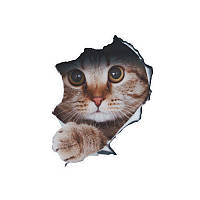 Наклейка на авто AIWA Кіт 3d 02136