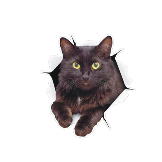 Наклейка на авто AIWA Кіт 3d 02137, фото 1