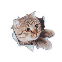 Наклейка на авто AIWA Кіт 3d 02138