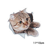 Наклейка на авто AIWA Кіт 3d 02138, фото 2