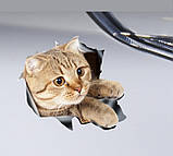 Наклейка на авто AIWA Кіт 3d 02138, фото 3