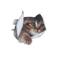 Наклейка на авто AIWA Кіт 3d 02140