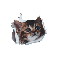 Наклейка на авто AIWA Кіт 3d 02141