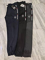 Мужские спортивные штаны трикотаж НОРМА FBN15 (в уп. один цвет)