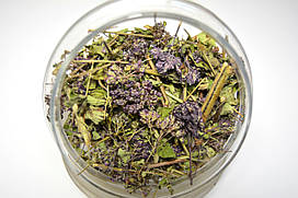 Материнка трава (Душиця)