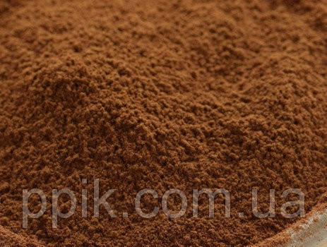 Какао порошок натуральний з низьким вмістом жиру Callebaut 0,5 кг, фото 1