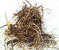 Левзея одноквіткова (Рапонтикум, Маралів) корінь, 500 г, фото 2