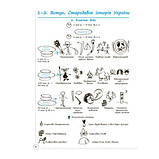 Історія України. Візуалізований посібник для підготовки до ЗНО. Харківська Наталія, Морозова Наталія, фото 5