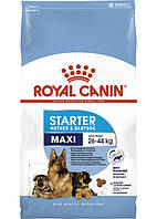 Сухий корм Royal Canin Maxi Starter для цуценят великих порід до 2 місяців 15 кг
