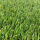 Штучна трава 45 мм ширина 4 м CCGrass Lissome 45 (штучний газон в рулонах), фото 6