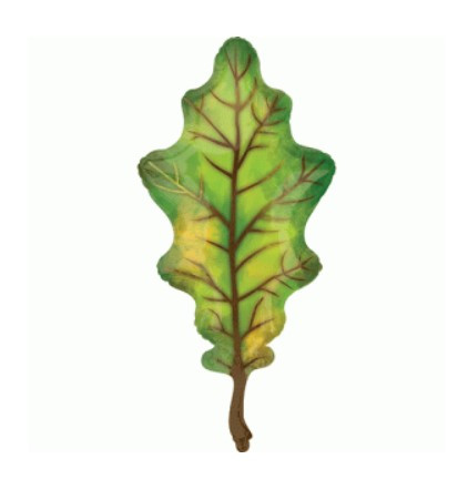А 20" x 42" Green Oak Leaf SuperShape Foil Balloon - Pkg . Куля фольгована Дубова зелена. В уп
