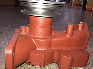 260-1307116 Насос водяний для охолодження двигуна МТЗ, фото 2