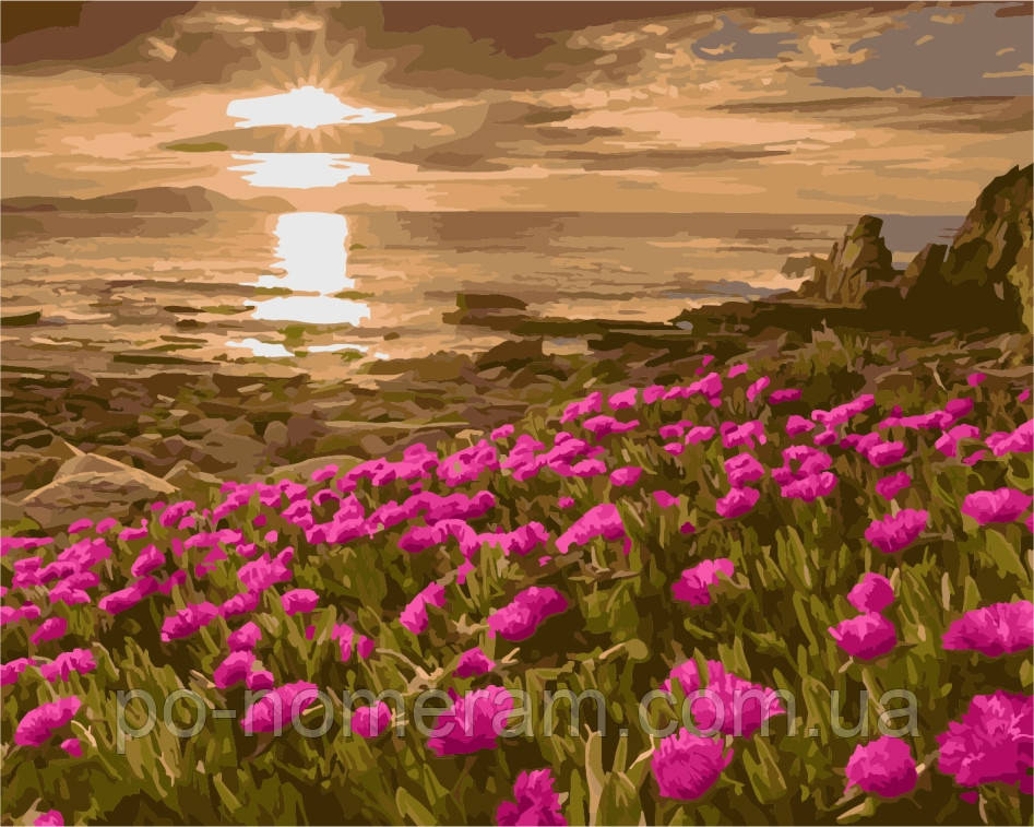 Акційна Картина за номерами ArtStory Гарний захід сонця (AS0995) 40 х 50 см, фото 1