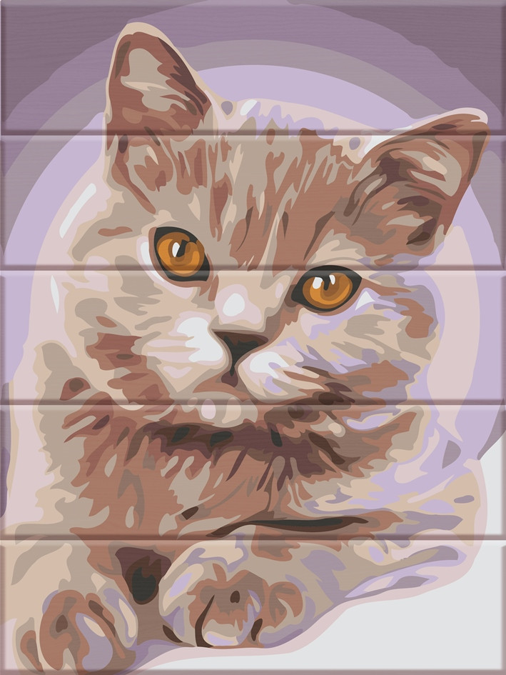 Акційна Картина за номерами ArtStory Котик (ASW150) 30 х 40 см