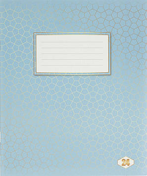 Зошит 24арк. лін. /ТВ/ "Фоновий Шкільний" №ТЕ12799(20)(400)