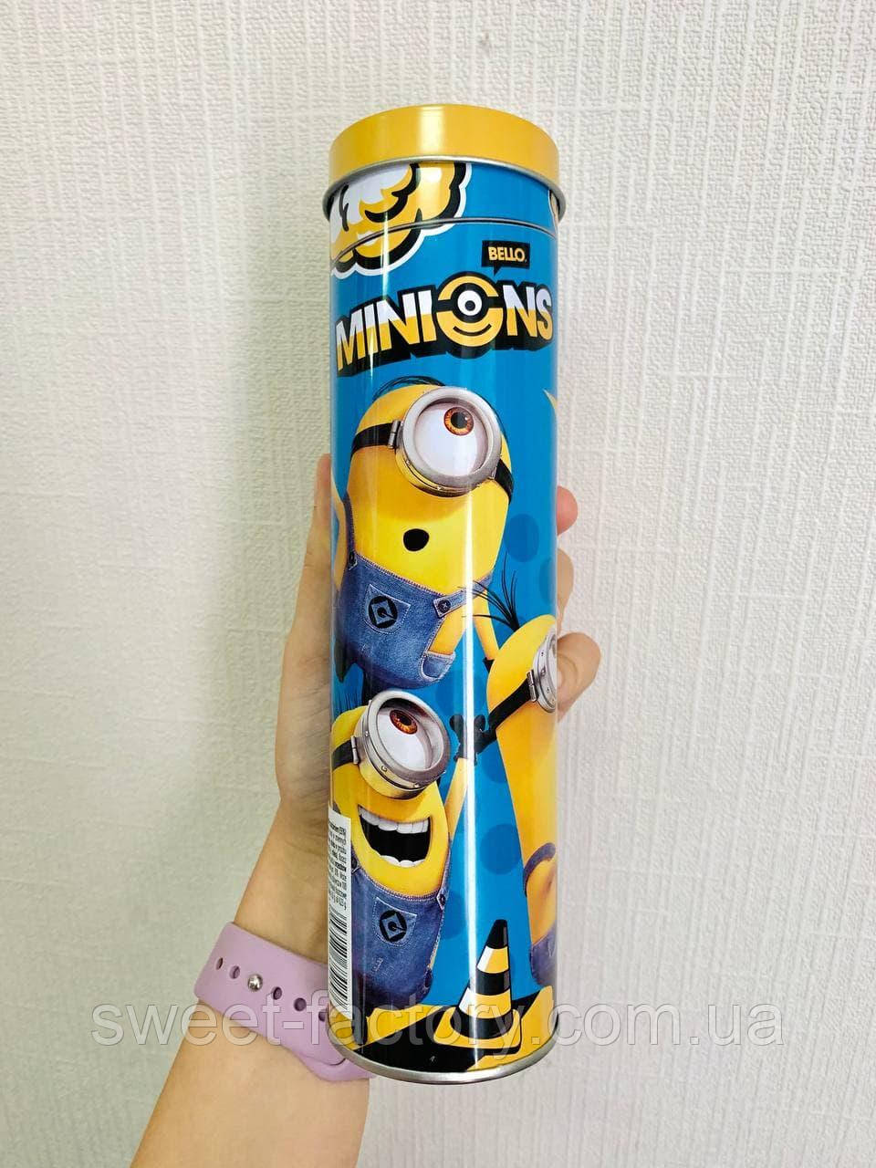 Пенал тубус Minion 40 g, фото 1